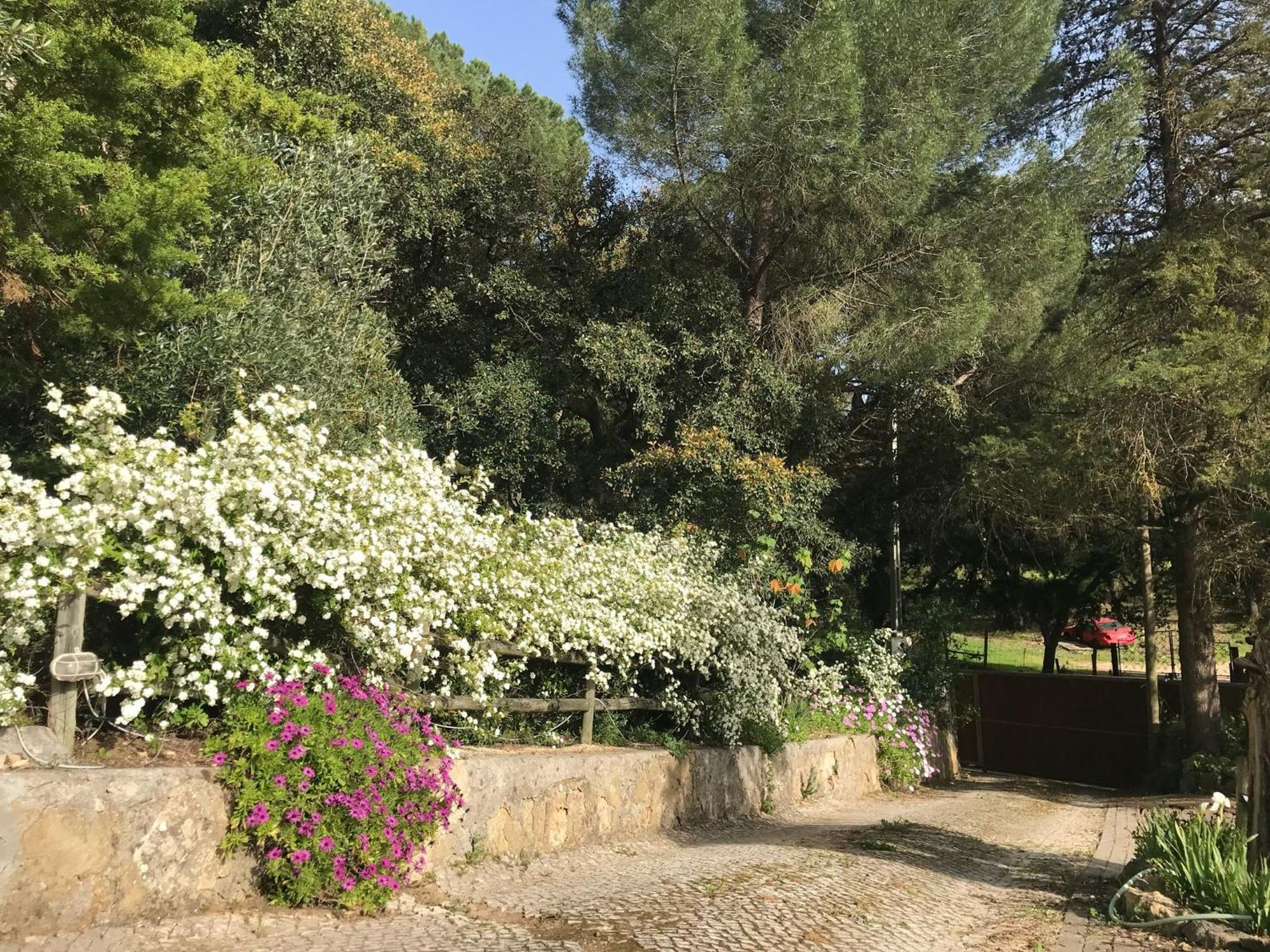 Quinta Dos Canais Setúbal Extérieur photo