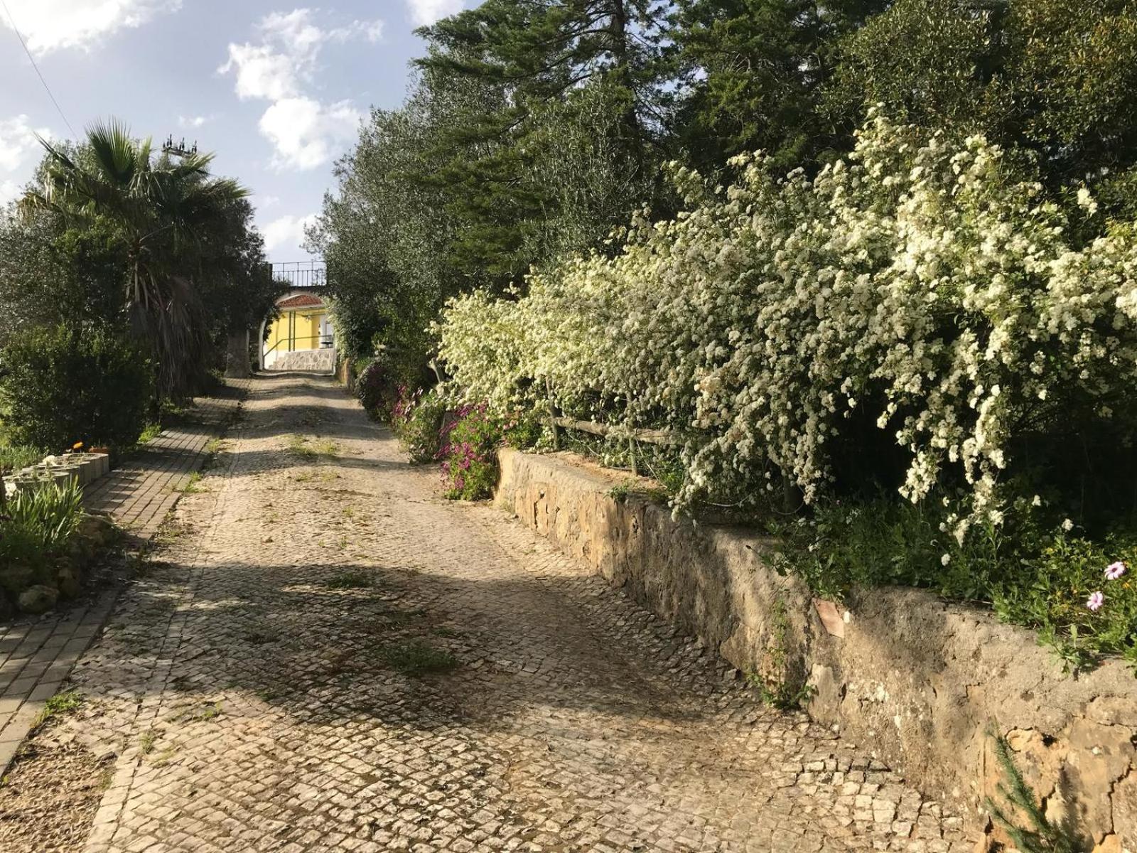 Quinta Dos Canais Setúbal Extérieur photo