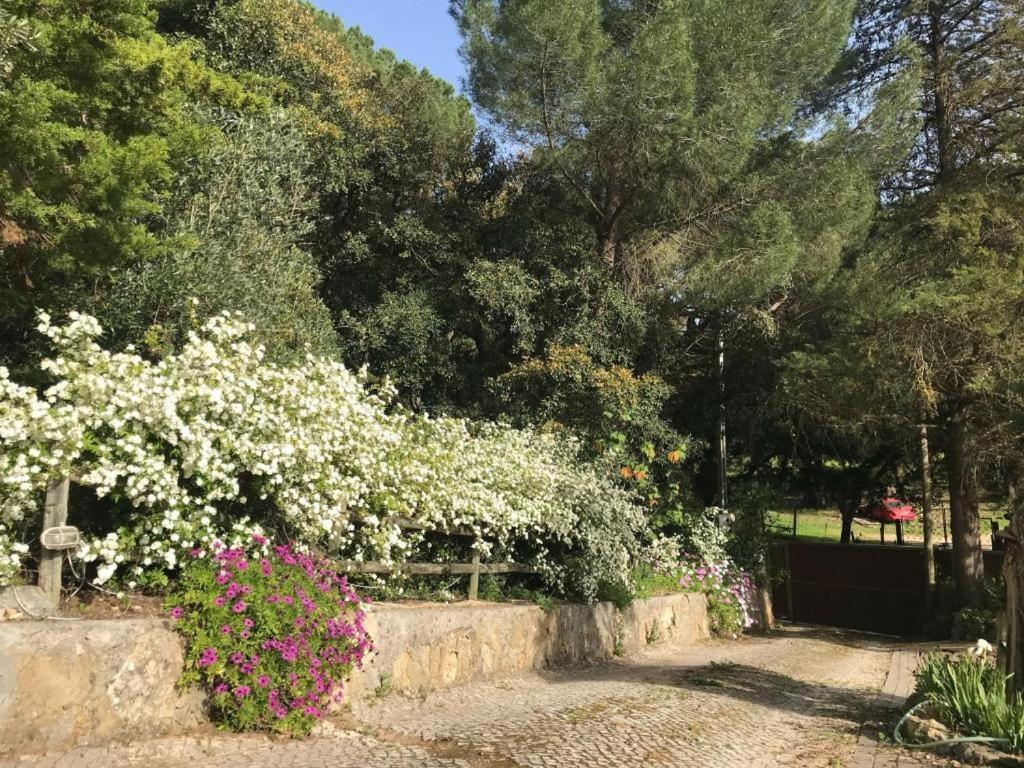 Quinta Dos Canais Setúbal Extérieur photo