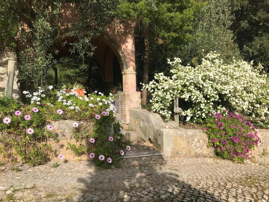 Quinta Dos Canais Setúbal Extérieur photo